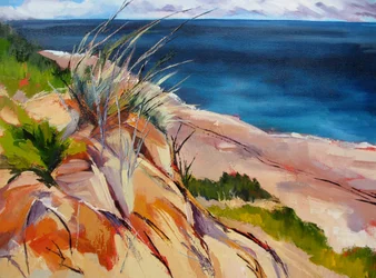 Strandgras en duinen