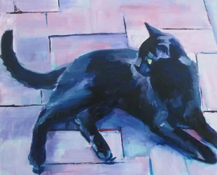 Zwarte kat, paarse vloer