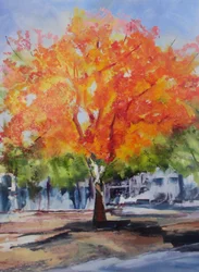 Kleurrijke herfstboom