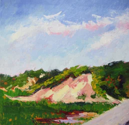 Levendig duinlandschap