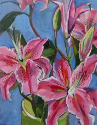 Levendige roze lelies