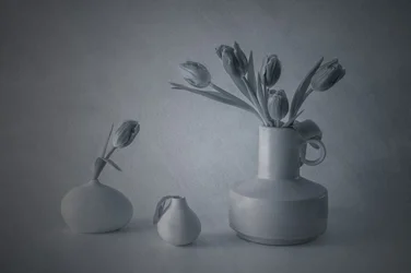 Sfeervol stilleven met tulpen