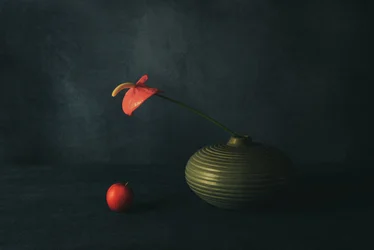Stilleven met rode anthurium
