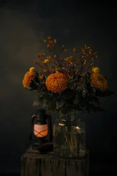 Gloed van herfstbloemen