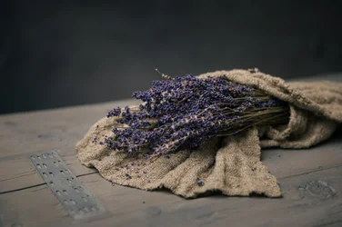 Bundel gedroogde lavendel