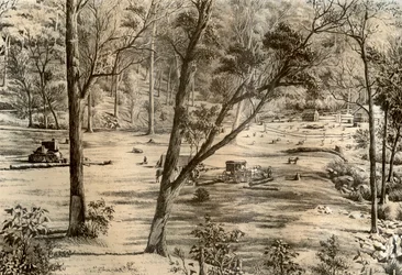 Hut van een Vrije Selector, Australië, 1879