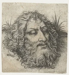 Het hoofd van Johannes de Doper of van Goliath
