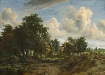 Een bebost landschap, 1663