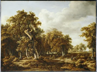 Het eikenbos ...