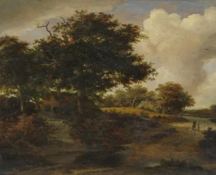Boslandschap