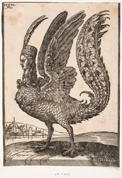 Ongeïdentificeerd mythisch dier, harpij of sirene