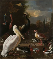 Een pelikaan en andere vogels bij een vijver, bekend als 