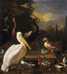 Een pelikaan en andere vogels bij een poel, bekend als 