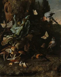 Dieren en planten