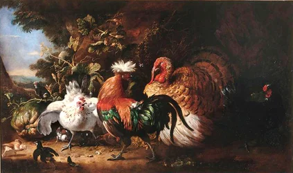 Frans: Oiseaux de basse-cour