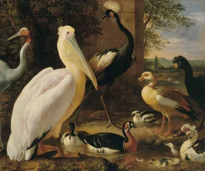 Pelikaan, kroonkraanvogel, wulp, saruskraanvogel en eenden in een rivierlandschap