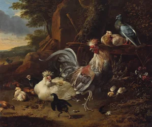 Hanen, kippen en ander gevogelte in een tuin