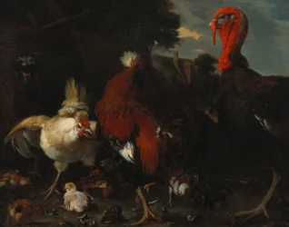 Een Hen, Haan en Kalkoen in een Boerenhof