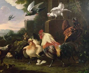 Een haan en ander pluimvee in een landschap