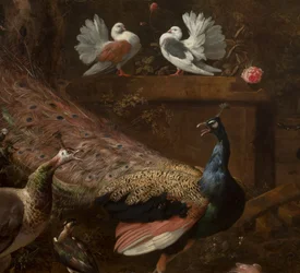Detail (Menagerie, ca. 1680)
