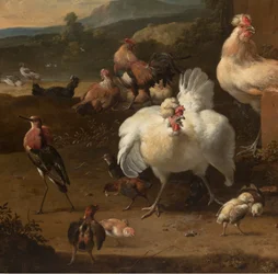 Detail (uit Menagerie, c.1680)