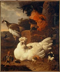 M. de Hondecoeter, Hen met kuikens