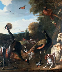 Pauwen en andere vogels, met een schaap en hond in een landschap