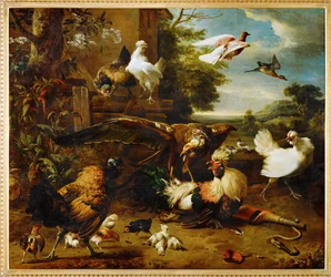 De havik in de kippenren (schilderij op doek)