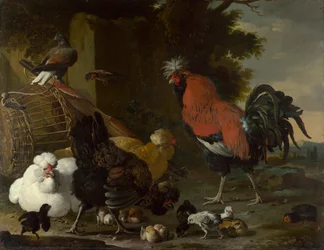 ‘Een haan, de hennen en de kuikens’, ca. 1668-1670, 85,5 x 110 cm, National Gallery, Londen