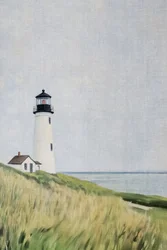 Vuurtoren op de met gras begroeide duinen