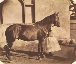 Sultan, midden 1850s