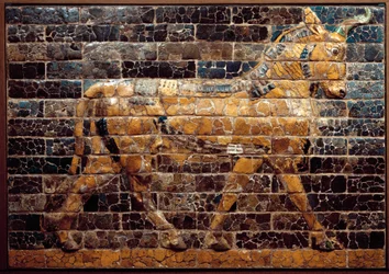 Mesopotamië: ‘Stier in beweging’. Geëmailleerde tegels van de Ishtarpoort. Babylon (Irak) ten tijde van koning Nebukadnezar II. Nationaal Museum van Irak, Irak