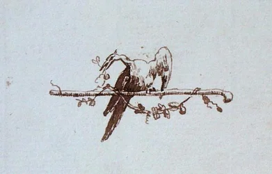 Tekening uit Michael Faraday