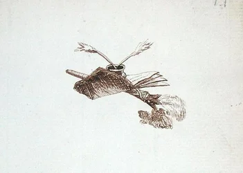 Tekening uit Michael Faraday