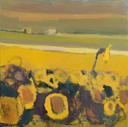 Zonnebloemen bij Puymirol, 2017 (olieverf op linnen)