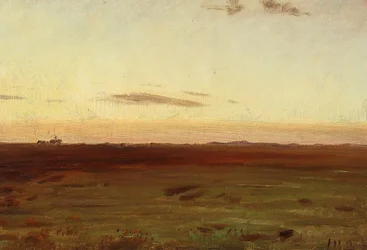 Uitzicht op weiland en duinen in de avondzon.
