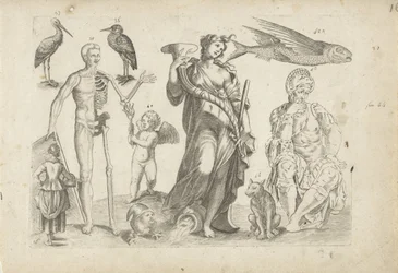 Studieblad met tekenvoorbeelden: dieren en diverse figuren