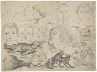 Studieblad met tekenvoorbeelden: figuren, dieren