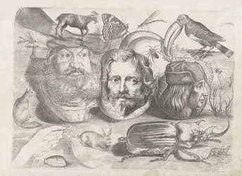 Studieblad met tekenvoorbeelden: portretten, dieren, insecten