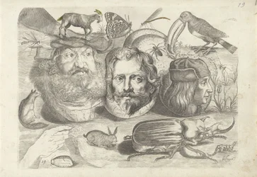 Studieblad met tekenvoorbeelden: portretten, dieren, insecten