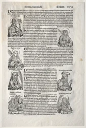 Neurenbergse Kroniek, 1493