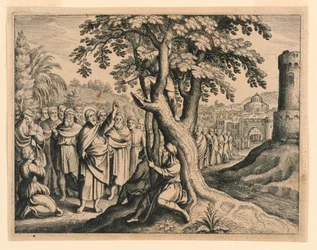 Zacheüs de tollenaar