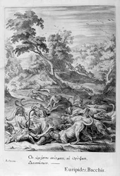 Actaeon veranderd in een hert en verslonden door zijn honden, 1655