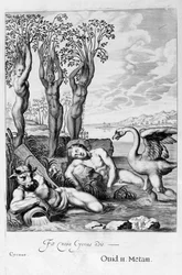 Cygnus veranderd in een zwaan en Phaetons zusters in populieren, 1655