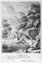 De nimf Salmacis en Hermaphroditus