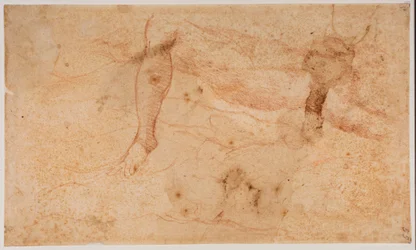 Studies van naakten