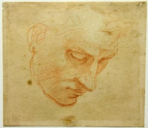 Hoofdstudie voor het plafond van de Sixtijnse Kapel, ca. 1509-1510