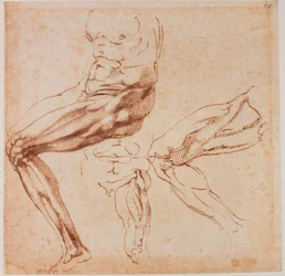 Beenstudies