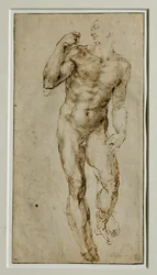 Mannelijk naakt, vooraanzicht, circa 1502-1506 ...