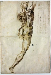Naakt van achteren, c. 1504